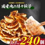 ふるさと納税 下関市 訳あり 国産肉の得々餃子 240個 20個×12パック 冷凍 小分け たれ付き IB023
