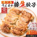 ふるさと納税 鹿児島市 鹿児島うんまか豚生餃子4パック(餃子48個入り・タレ付)　K005-003_01