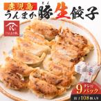 鹿児島うんまか豚生餃子9パック 餃子108個入り