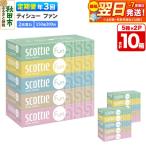 スコッティ ティシュー ファン 150組 5箱×2