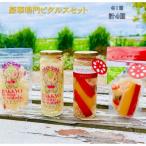 豪華鳴門ピクルスセット