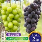 ショッピングふるさと納税 シャインマスカット ふるさと納税 東御市 2026年先行受付【おがわら農園】家庭用欲張りセット!シャインマスカット2〜3房・種無し巨峰2〜3房
