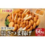 <土日祝着分>霧島特製さつま揚げ4種66枚入り