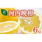 訳あり 河内晩柑 6kg