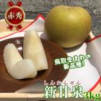 ふるさと納税 八頭町 新甘泉(赤秀) 3kg【彩花園】