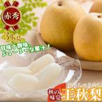 Y484 王秋梨 赤秀 3kg