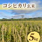 ふるさと納税 東御市 令和7年産新米先行受【長野県東御市産】信州特A米コシヒカリ玄米5kg|※2025年10月より順次発送