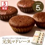 元気マドレーヌ ショコラ 5個入り