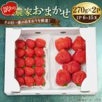 農家おまかせ訳あり 270g×2パック