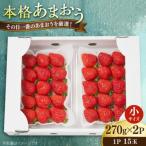 糸島のあまおう 270g×2パック