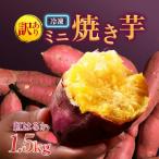 紅蜜芋 紅はるかの焼き芋 1.5kg