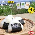 米旋風 お米 2種