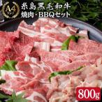 焼肉 バーベキューセット 計800g