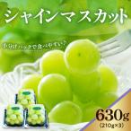令和8年産 シャインマスカット 210g×3パック