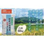 ふるさと納税 山口市 【定期便】阿武川源流米コシヒカリ白米60キログラム(5キログラム×12回) A094