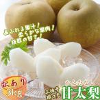 Y478 甘太梨 3kg
