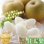 ふるさと納税 八頭町 プレミアム甘太梨3kg