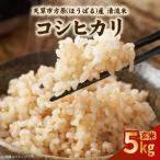 S150-003_ 方原産 白米 コシヒカリ 5キロ