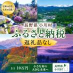 小川村への寄付（返礼品なし）