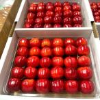 ふるさと納税 上山市 さくらんぼ(紅秀峰)400g×2パック 2L 並び詰め 0049-2506
