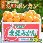 太田ポンカン 約3kg