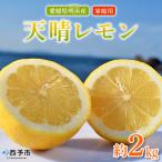 天晴レモン ご 約2kg