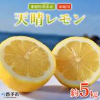 天晴レモン ご 約5kg