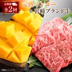 ふるさと納税 宮崎県 定期便 完熟マンゴー 2L×2玉 & 宮崎ブランド牛 計1kg 全2回 宮崎特産 牛肉 フルーツ