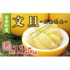 ふるさと納税 愛南町 訳あり 文旦 13.5kg + 傷み補償 500g ミッチーのおみかん畑 愛南町 愛媛県