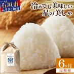6ヶ月連続お届け 石垣島産 星の美しゃ ほしのかいしゃ 30kg