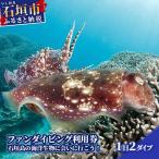 ファンダイビング利用券 石垣島のマンタ