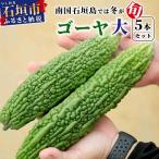 南国石垣島では冬が旬 朝採れゴーヤ大5本セット