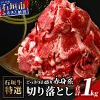 石垣牛 牛すじ 1kg入り