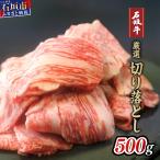 厳選石垣牛切り落とし500g