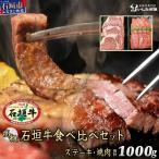 石垣牛ステーキ200g×3枚+焼肉400gセット