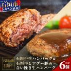 石垣牛生ハンバーグ&amp;石垣牛とアグー豚の合い挽き生ハン…