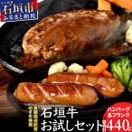 石垣牛お試しセット ハンバーグ2個+フランク2個