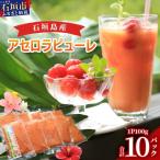 石垣島産アセロラピューレ 10パック