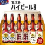 V-25 石垣島ハイビール 12本セット
