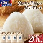 石垣島産 星の美しゃ ほしのかいしゃ 20kg