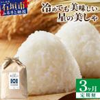 3ヶ月連続お届け 石垣島産 星の美しゃ ほしのかいしゃ 15kg