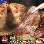 石垣牛100% ハンバーグ 100g×3個