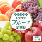 ふるさと納税 大江町 ≪先行受付≫ 山形からおすすめフルーツ定期便【定期便全4回】 060-T08