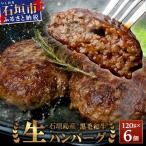 石垣牛ハンバーグ 120g×6個