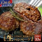美崎牛ハンバーグ200g×6個 O-5
