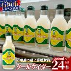 クールサイダー 24本