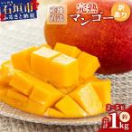 マンゴー 石垣島産 完熟 アップルマンゴー 約1kg