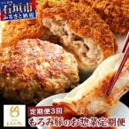 ふるさと納税 石垣市 【3回定期便】もろみ豚 お惣菜定期便