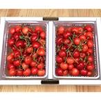 ふるさと納税 上山市 さくらんぼ(佐藤錦か紅秀峰)400g×2パック ご家庭用 0049-2505