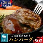 ふるさと納税 石垣市 石垣島産 黒毛和牛 新里牛 職人手ごね生ハンバーグ (150g×6) 合計900g